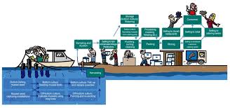 The project began in 2012, created by jethro de beer and roy bergh. 2 Value Chain For The Dutch Mussel Sector Illustration By Rens Van Download Scientific Diagram