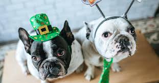 St Patrick Day Memes Skip The Bar And Laugh At These Instead