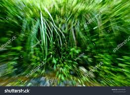 Browse through these free zoom. Green Abstract Natural Blurred Zoom Background Ad Ad Natural Abstract Green Background Background Abstract Green Backgrounds