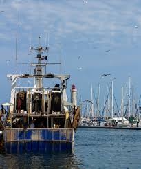 Decouvrir Sete Au Fil De L Eau Enfranceaussi Visiter Sete Vacances En Solo Voyage