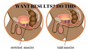 Pelvic Floor And Kegel Exercises For Men Youtube Kegel Exercise For Men Kegel Exercise Pelvic Floor