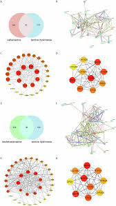 Image result for Valbenazine