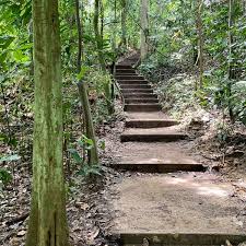 Dairy farm nature park is located in singapore. Dairy Farm Loop Trail In Singapore