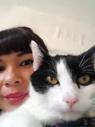 My amazing Stig 😽 Miss your love special guy.. 💗🌟 My Stig was Thor's  birth brother. Stig had a dense smooth coat whereas Thor has many thick  fluffy layers. They are both