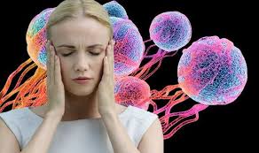However, these symptoms are very common. Cancer Symptoms Signs Of Bone Pain And Ache May Signal Bone Cancer Express Co Uk