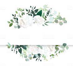 Wedding Floral Horizontal Vector Design Banner White Rose And Banner Design Floral Poster Vector Design