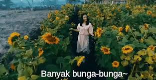 It's where your interests connect you with your people. Vlog Bunga Matahari Gif Bungamatahari Kebun Perkebunan Descubre Comparte Gifs