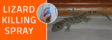 The best way to get rid of lizards is simply to make your home and its surroundings inhospitable to them. Best And Natural Ways To Get Rid Of Lizards