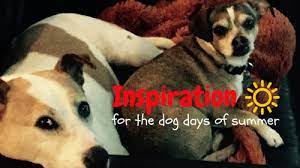 Dog days of summer quotes. 20 Inspirational Quotes For The Dog Days Of Summer