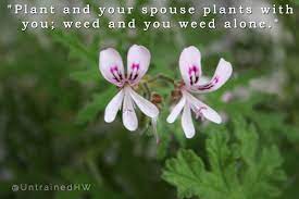 Some people have appreciated weeds for their tenacity, their wildness and even the work and connection to nature they provide. Quotes About Weeds In The Garden 45 Quotes
