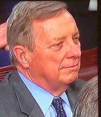 anna edler (@little_eds)