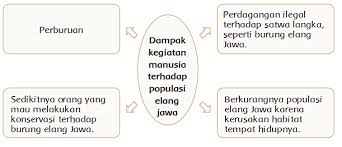 Kunci jawaban bahasa indonesia kelas 10 tugas 5 halaman 38 39. Konservasi Elang Di Halimun Salak Halaman 38 Belajar Kurikulum 2013