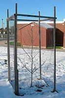 We did not find results for: Pin By Brittany C On Landscape It Fence Ideas For Dogs Fruit Trees Deer Fence