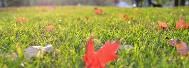 Since we are overseeding the lawn in the fall, you will need to throw down some halts crabgrass preventer in the late winter, before the warm weather arrives to keep the weed seeds that are in the ground from germinating. Fall Lawn Care Schedule Ankeny Hardware