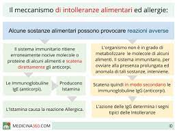 Possono essere i segnali di un'intolleranza. Intolleranze Alimentari Sintomi Test Cause Terapia E Conseguenze