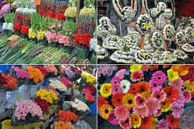 This market begat in the 1950s as part of efforts to urbanize the. Mercado De Jamaica Love Flowers Flower Market Red Roses