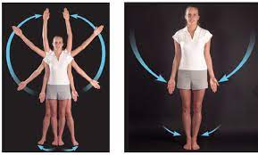 Adbuction Left Is Defined As Movement Away From The Median Of The Body While Adduction Right Is Movement Towards The Median Of T Fashion Joint Ballet Skirt