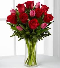 We did not find results for: Buy Send Tulips Online Red Pink Black Tulips Flowers Deliver Doha Qatar