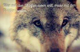 Check spelling or type a new query. Peter Kryzun On Instagram Heulen Wolfeindeutschland Fujiex2 Fuji Wolf Wolfs Zitate Zitateundspruche Zitatezumnachdenken