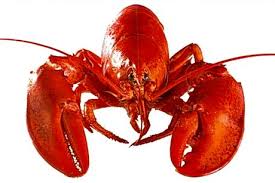 Random red lobster gift voucher number generator for data testing. Red Lobster Gift Card Balance Home Facebook