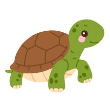 Image result for turtle