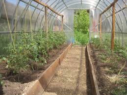 как правильно сделать грядки в теплице 3 на 6 Obustrojstvo Teplicy 3 Na 6 Vnutri Gryadki V Teplice 3 Na 6 Luchshie Varianty Kak Sdelat Svoimi Rukami Hitrosti Remonta
