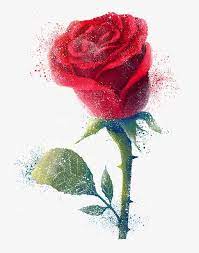 ورود حمراء وردة حمراء المرسومة ورود حمراء اوراق خضراء png وملف psd للتحميل مجانا red roses disney rose