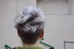 Lavender Light Purple Hair Men