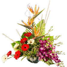 Same day flowers delivery to america. Same Day Flowers Delivery To America Gifts To America Flowers To Usa Free Delivery Cheapest Way To Send Flowers Online Affordable Flowers Online Order Flowers Online America Order Flowers Online International