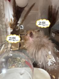 [잡담] 만약에 10년전에 한번 같은반이었던 남자가 연락오면 어떨것같애?? | 인스티즈