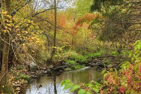 Fall At The Mk Nature Center Nature Nature Center Photo