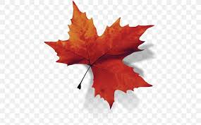 Canada Maple Leaf Png 508x508px Canada Autumn Information Leaf Maple Leaf Download Free Find & download free graphic resources for canada maple leaf. canada maple leaf png 508x508px