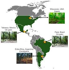 220 e francis ave, pampa (tx), 79065, united states. Land Free Full Text Birds And Bioenergy Within The Americas A Cross National Social Ecological Study Of Ecosystem Service Tradeoffs Html