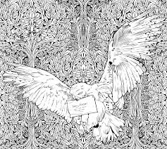 The best 130 harry potter printable coloring pages. Harry Potter Adult Coloring Pages Coloring Home