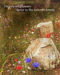 Dreamy Wildflowers Dance In The Summer Breeze Flower Quotes Summer Breeze Garden Art