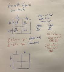 The progeny obtained from the monohybrid test cross are in equal gene of yellow body colour of mice is lethal. Genetics The Art Of Science