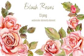 Free download flower svg icons for logos, websites and mobile apps, useable in sketch or adobe illustrator. Blush Roses Watercolor Floral Clipart Graphic By Elenazlataart Creative Fabrica