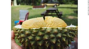 Durian musang king kecil kok bisa berbuah durian musang king paling banyak? Pengusaha Malaysia Jadi Tajir Dengan Jualan Durian Musang King Dunia Tempo Co