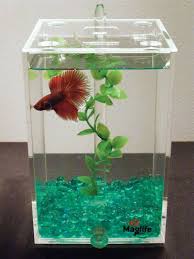 Maglife Usa Clean Sweep Betta Tank Review Betta Fish Tank Betta Betta Fish