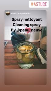 Spray Nettoyant Naturel Multi Usages Diy Recette Maison Green Lifestyle How To Make Cucumber