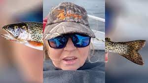 Girl With Trout Video / Using A Trout For Clout: Video Gallery | Know Your  Meme