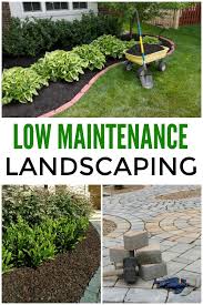 Ideas for landscaping on banks. Low Maintenance Landscaping Ideas
