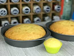 Maybe you would like to learn more about one of these? How To Make An Edible Cell Model Weird Unsocialized Homeschoolers