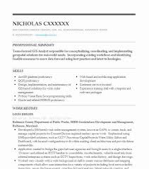 Gis Analyst Resume Example Analyst Resumes Livecareer
