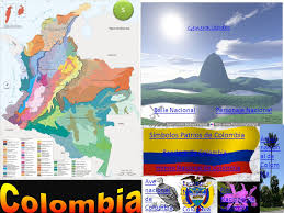 Los emblemas son elementos de la naturaleza oriundos de la zona geográfica en que se encuentra la nación. Colombia Simbolos Patrios De Colombia S Generalidades Baile Nacional Ppt Video Online Descargar
