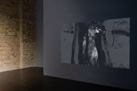 Bildergebnis für Alina Kopytsa