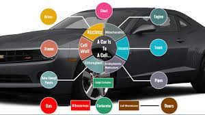 Maybe you would like to learn more about one of these? Cell Analogy Project Car By Chris Perez