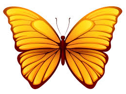 Butterfly Png Picture Butterfly Art Drawing Butterfly Art Painting Butterfly Art