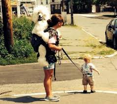 Read about all things parenting at sheknows! 18 Unbelievable Parenting Fails That Will Make You Feel Better About Yourself 18 Afrizap World