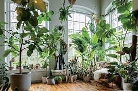 Plant Stylist Hilton Carter Creates Homes That Will Make You Green With Envy House Plants Indoor Room With Plants Plant Decor Indoor